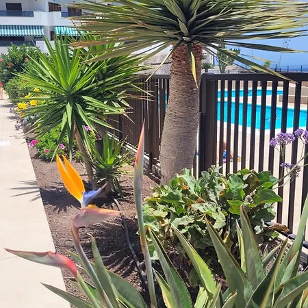 Apartment Atlantic View Tenerife South